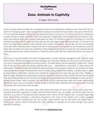 are zoos good or bad essay What if we could design the perfect zoo?