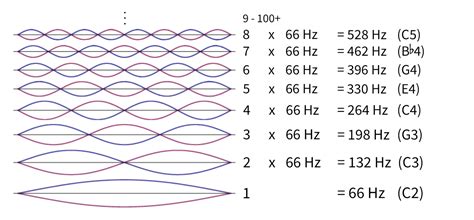 what are harmonics in music and how do they influence our perception of beauty?